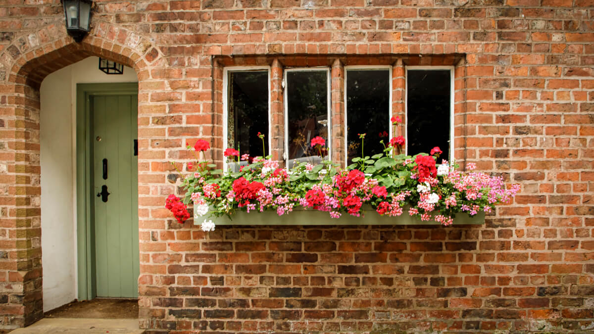 Window box